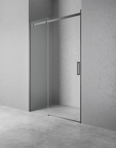 Shower door