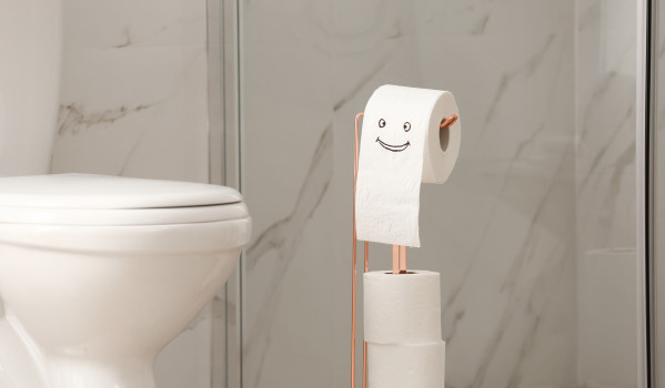 No drilling - non-invasive toilet paper holder