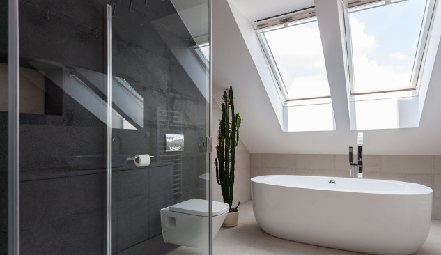 Shower enclosure or bath - what to choose?