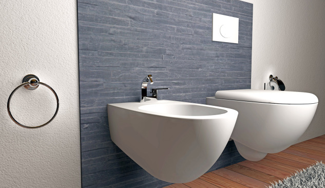 Bidet - what's it useful for in the bathroom?