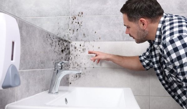Removing Black Mold from Silicone - How to Do It Effectively?
