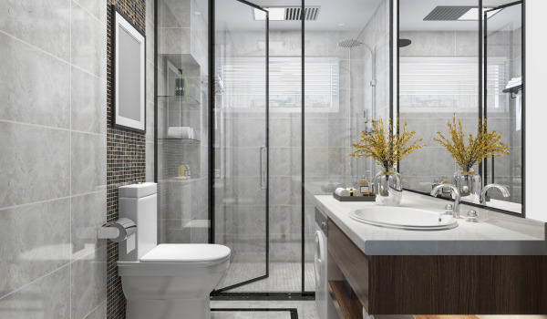 What shower partition to choose?