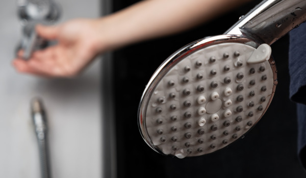 Comfortable Bathroom - Best Shower Arms