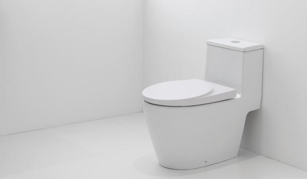 How to match a toilet bowl to the decor?