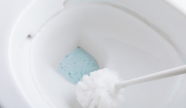 How to Care for a Toilet Brush?