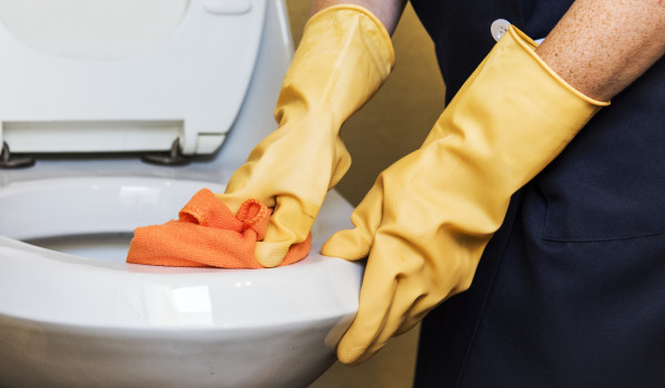 How to Clean a Toilet Seat?