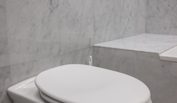Best Concealed Toilet Systems