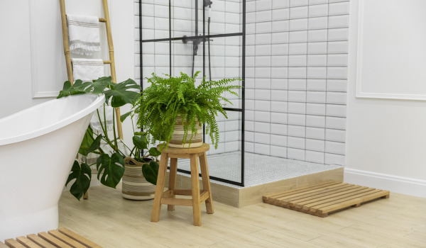 Flowers for the Bathroom — Which Varieties to Choose?