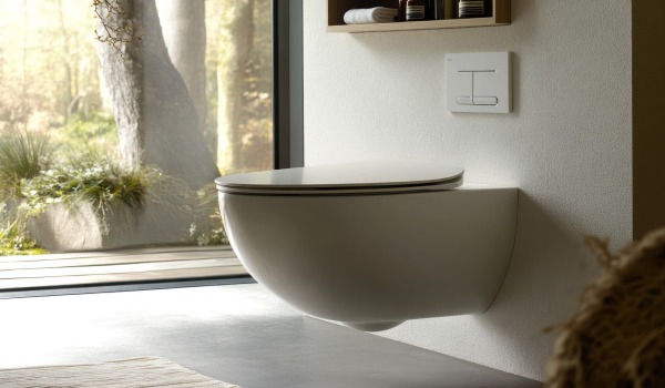 Toilet bowl with or without a rim?