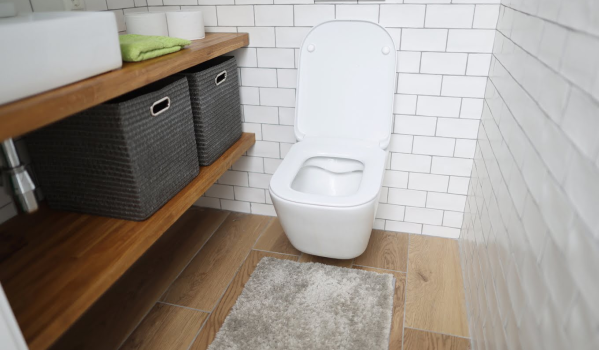 Compact WC or Concealed – Which One to Choose?