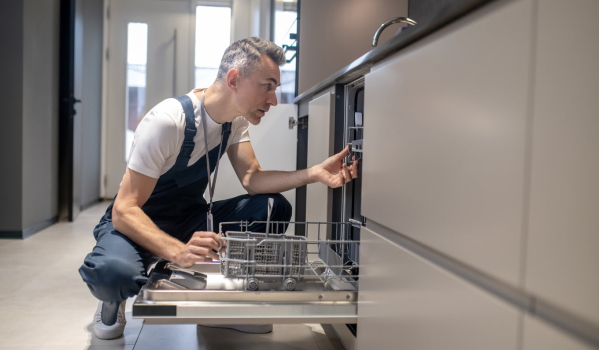 How to connect a siphon to a dishwasher?